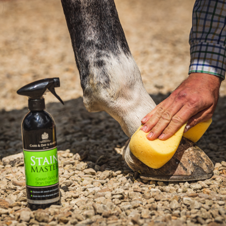Carr Day and Martin Stain Master 500ml