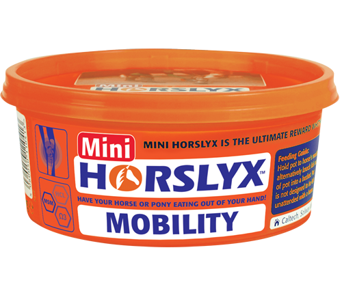 Horslyx Mini 650g *****purchase 2 get one free*****max order 18**